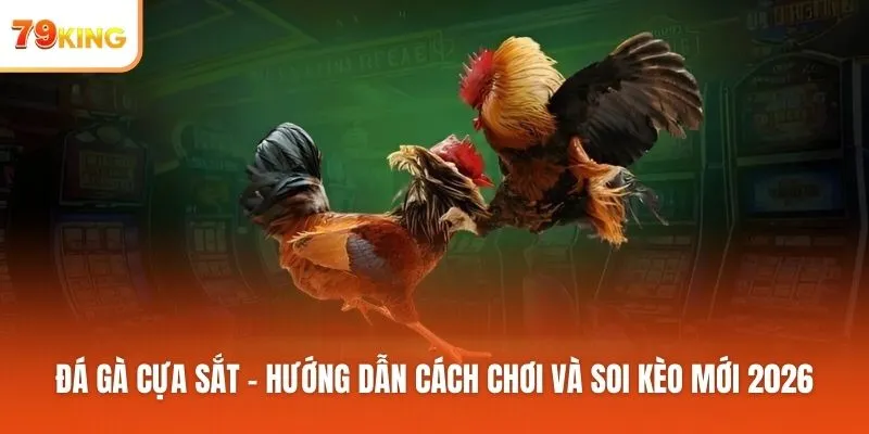 Đá gà cựa sắt