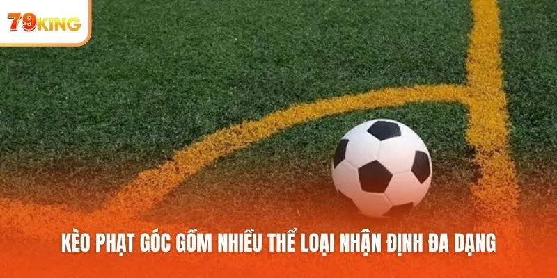 Kèo phạt góc gồm nhiều thể loại nhận định đa dạng